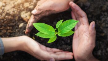 sustainable development financing programme